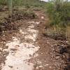 More summer rain damage to trail. will be fixed soon but be careful here, much steeper than it looks and very unforgiving.