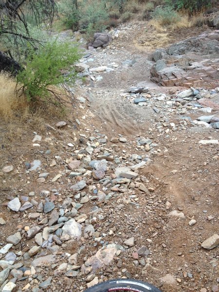 Coming out of wash into Cave Creek Park. The rest of the trail to Cave Creek is in good condition.