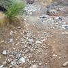 Coming out of wash into Cave Creek Park. The rest of the trail to Cave Creek is in good condition.