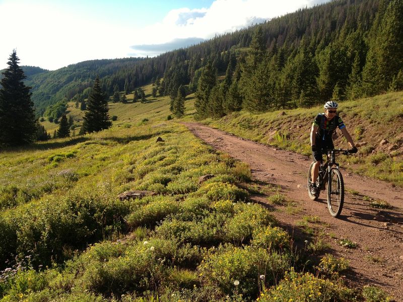 Meadows on the Mill Creek Trail