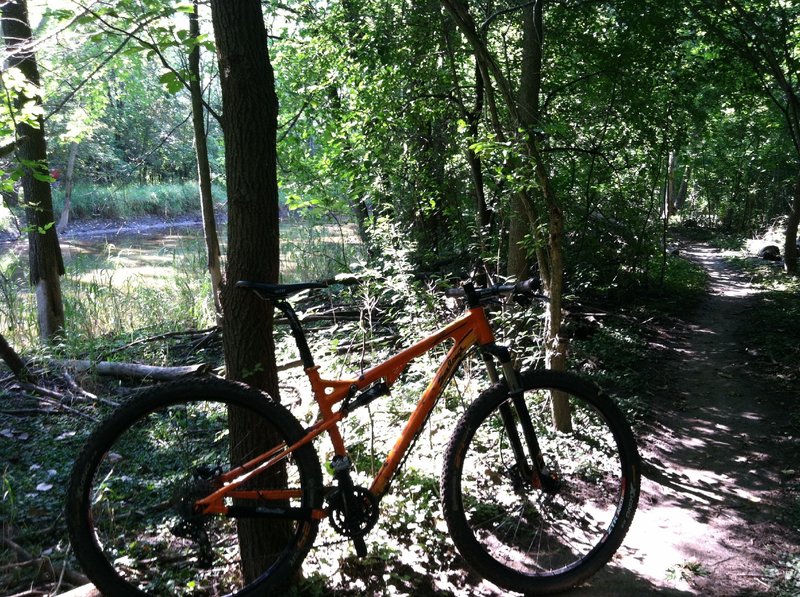 Trail runs by the Menominee River