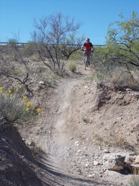 Little dip in the trail