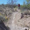 Little dip in the trail