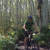 Sections of dense aspen and singletrack make you smile!