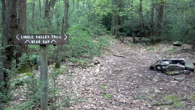 intersection of Bear gap and Lingle valley trail