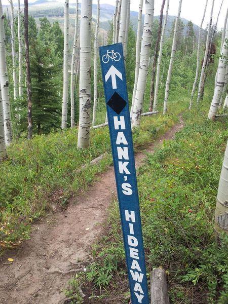 At the junction of Hank's Hideaway Spur and Berry Picker hiking trail