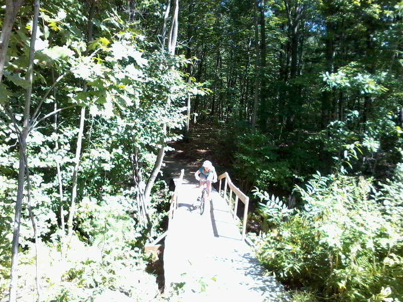 The bridge at the entrance to East Loop