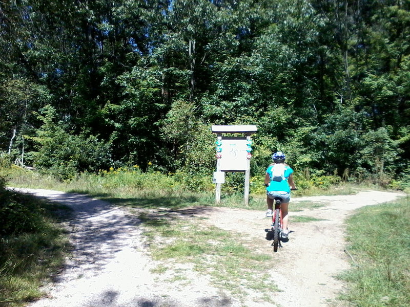 Blueberry Loop is to the left. East Loop to the right. Both directions access the more advance trails beyond.