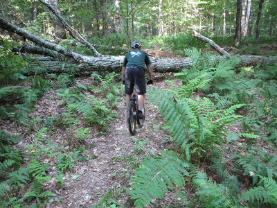 I may not make this!