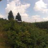 cabin overlooking Christmas tree farm