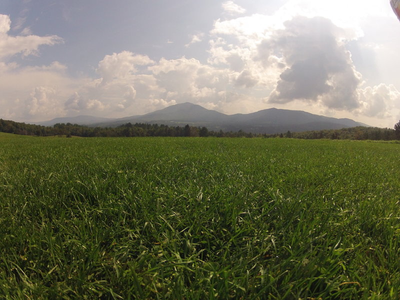 Looking east from Heaven's Bench.