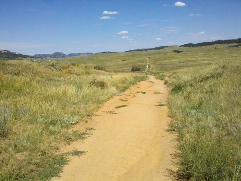 Old Territorial Road looking North across the prairie