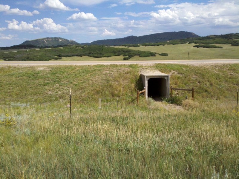 Narrow Tunnel under S Spruce Mountain Rd.