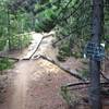 Take some mercury home on your tires. Ride the board walk to avoid contaminated mine tailings.