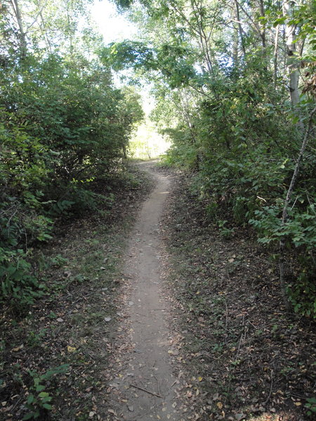 Singletrack