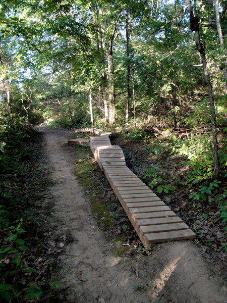 40' wooden trail feature.