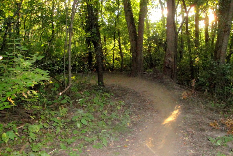 Berm on the downhill. The downhill trail contains several well built berms.