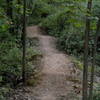 Jump line on the Tunnel Trail.