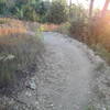 The upper part of the trail is much more rocky than the section along the lake. Here is a flowing berm towards the beginning of the downhill.