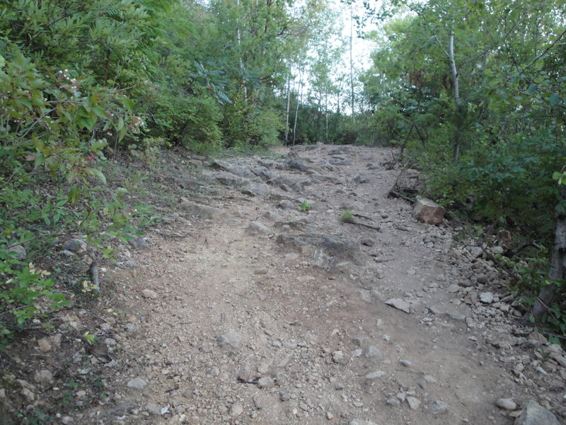 Rock garden. A bypass was built in 2012 for an easier alternative around this section.