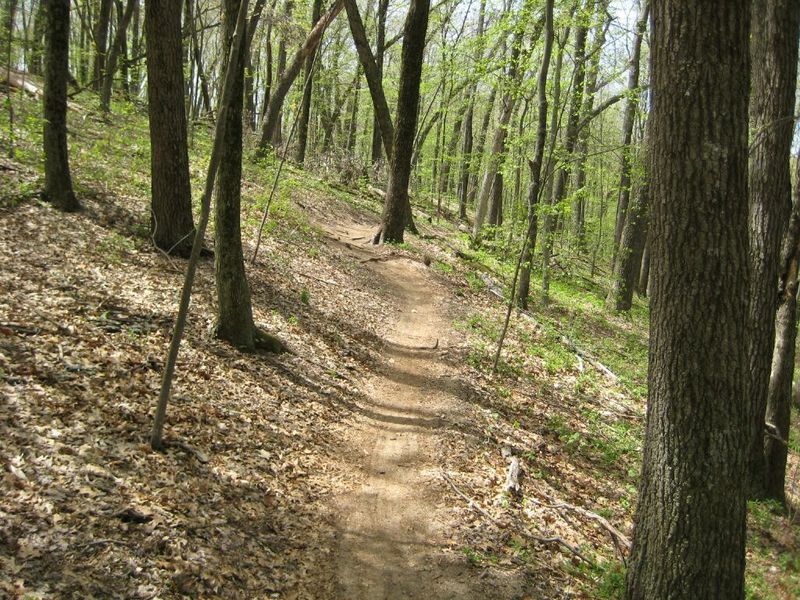 beginning of root climb