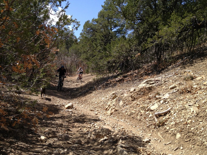 Descending on the Pinyon Trail