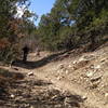 Descending on the Pinyon Trail