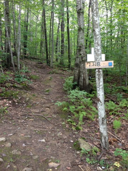 The top of the Jibe Trail at Camden Snowbowl. Tempest Trail comes down from the left in the picture.