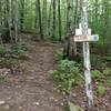 The top of the Jibe Trail at Camden Snowbowl. Tempest Trail comes down from the left in the picture.