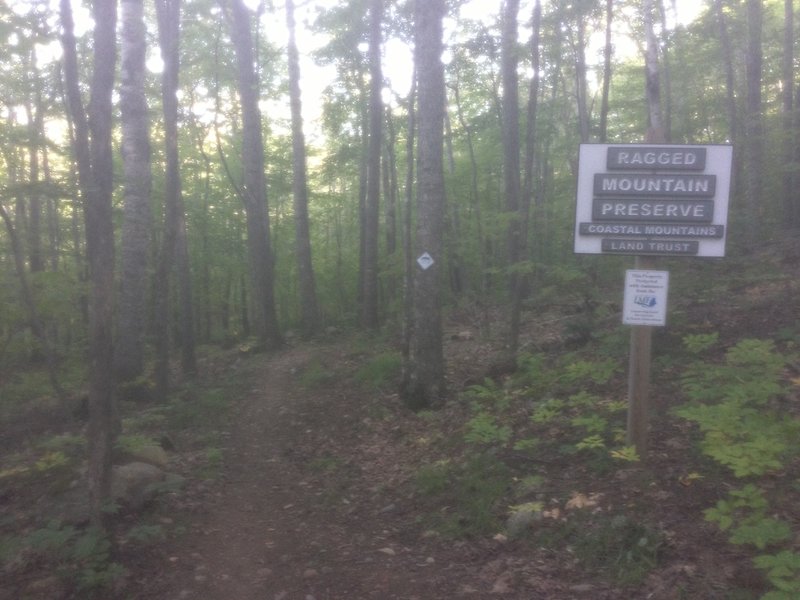 The start of the Orange Trail / Round the Mountain Trail at Camden Snow Bowl