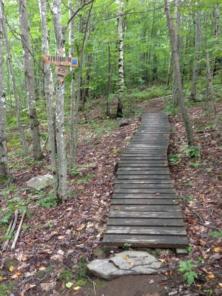 Northern end of the Freebooter Trail at Camden Snow Bowl, near Tempest and the top of Jibe.