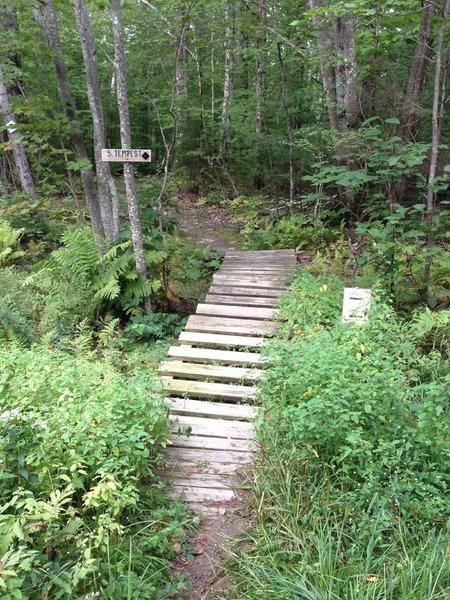 The "Troll Bridge" - on the Tempest trail at Camden Snowbowl, next to where it hits 22 Tacks Trail.