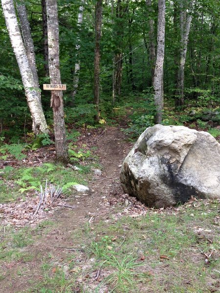 Near the bottom section of Hornswaggle Trail at Camden Snow Bowl