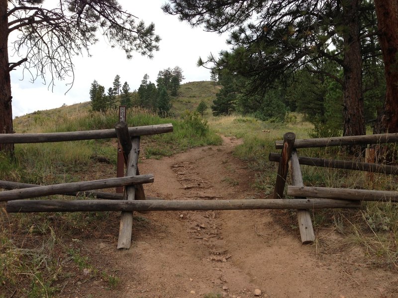 Winiger Ridge Trailhead on Boulder County Road 359.