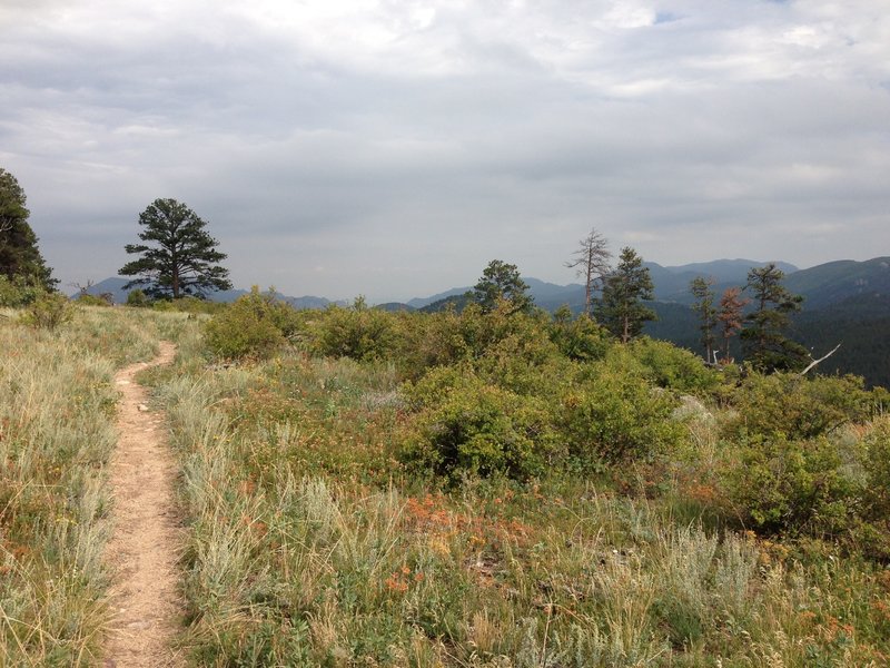 Perfect tread and a pretty view to the east.