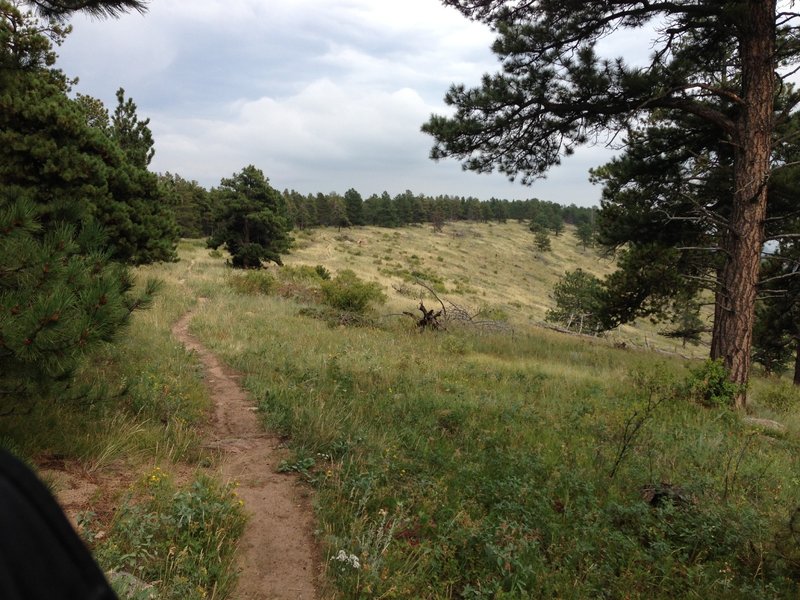 Trail along the ridge and forest edge.