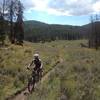 Heading up Soda Creek Trail