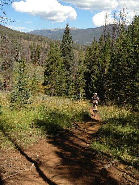 At the high point of the Soda Creek Trail