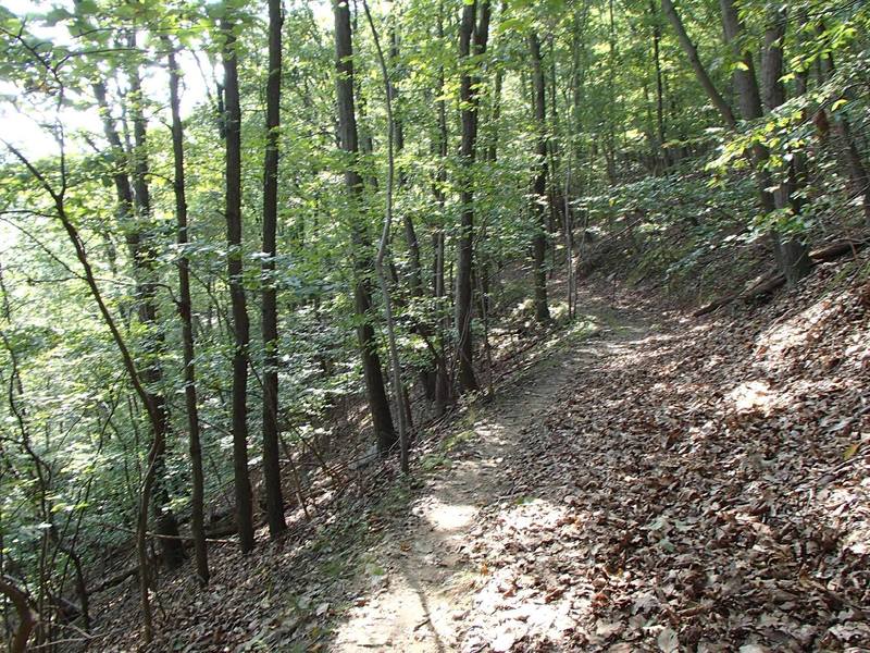 Daniels ridge trail