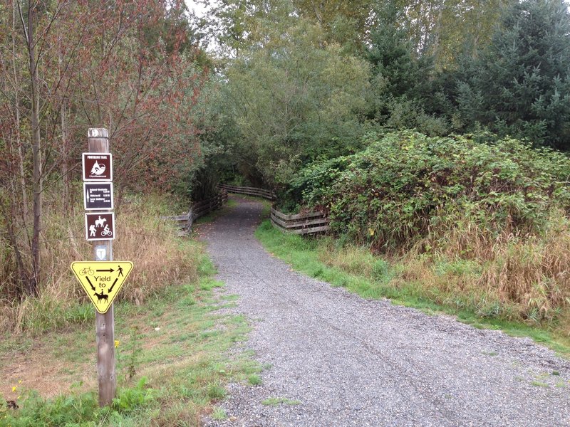 After riding 3.5 miles along the paved Sammamish River trail, look for this trail cutoff on your left (next to a Trail Information booth) that will take you up to the Puget Powerline Trail.