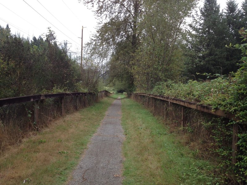 Singletrack connecting Puget Pipeline Trail