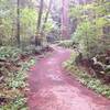 The Trail inside the Redmond Watershed are 36-48" wide and very well maintained.  Very easy and nothing technical at all.  It is nice and "flowy" at a quick pace.