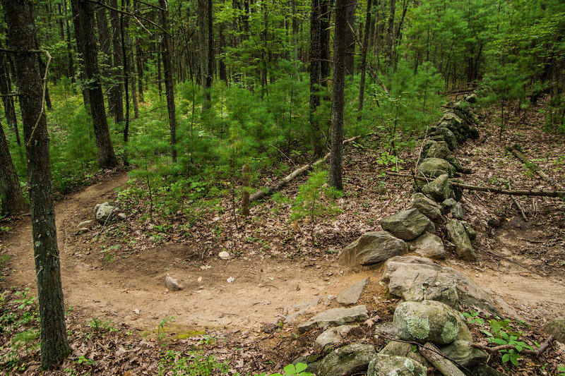 No New England MTB trail would be complete without a stone wall crossing. This is a fairly easy one on Upper Owl