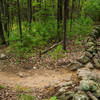 No New England MTB trail would be complete without a stone wall crossing. This is a fairly easy one on Upper Owl