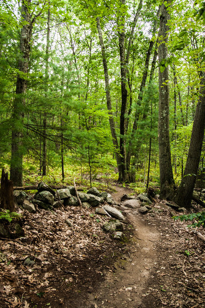 Just a nice trail