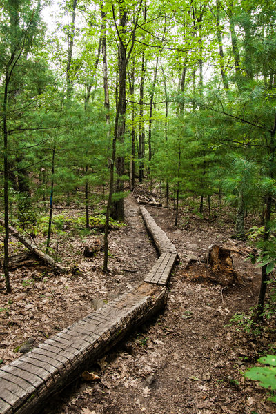 There are lots of skinnies on Russel Mill Pond trails. This is a particularly long one.