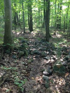Rock Garden