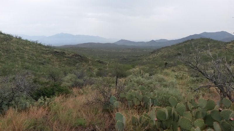 View looking south from the first gate.