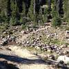 Rocky, stream crossing