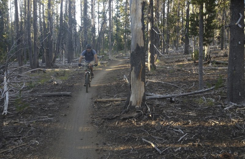 Southfork downhill begins